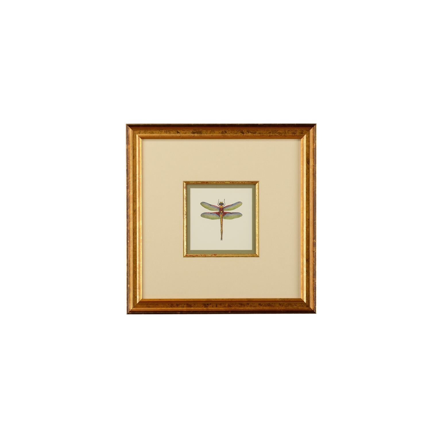 Chelsea House Miniature Dragonfly IV Print