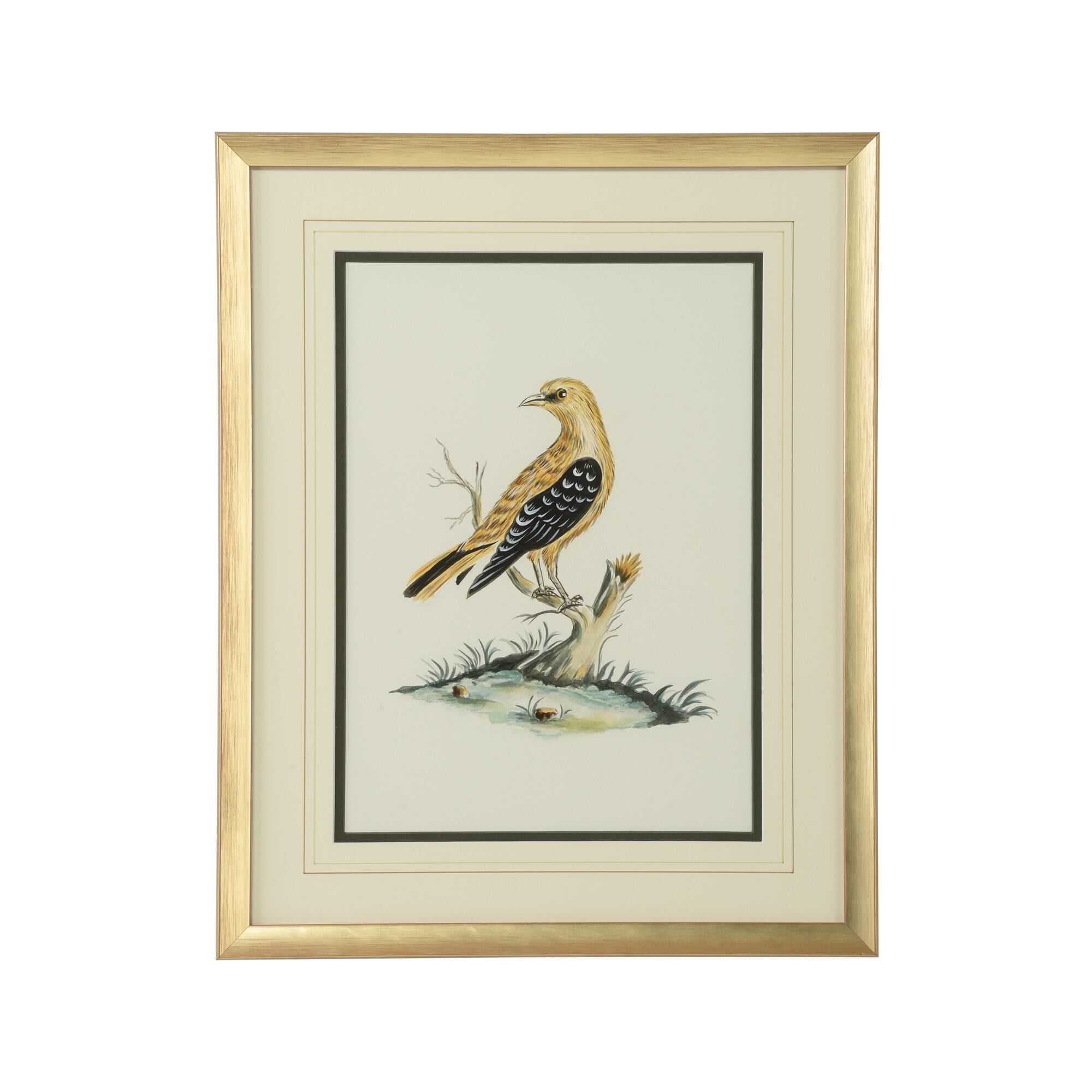 Bill Cain Cain Birds A Painting by Chelsea House