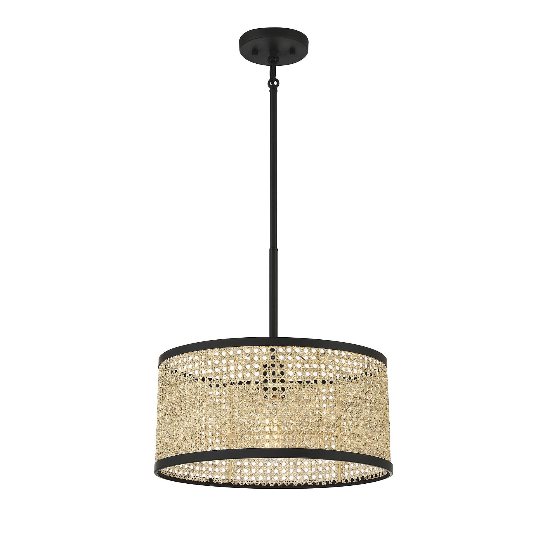 Meridian Lighting 16 Inch LED Large Pendant