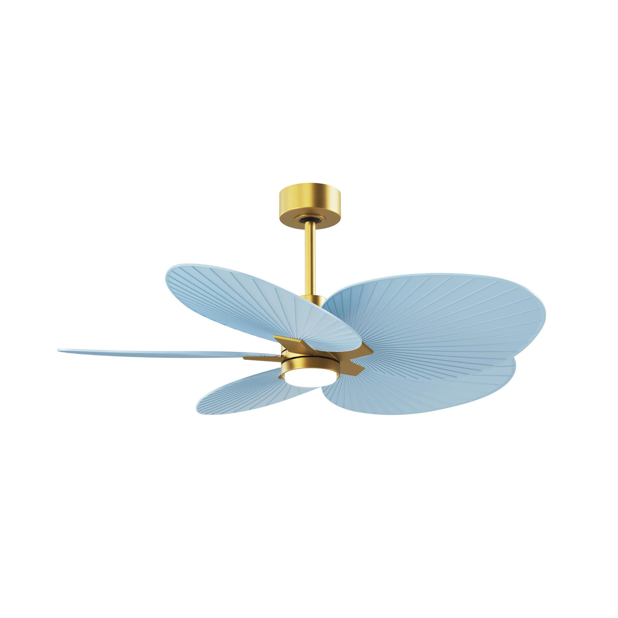 Alessandra Tropical Outdoor Rated 48 Inch Ceiling Fan with Light Kit by Matthews Fan Company