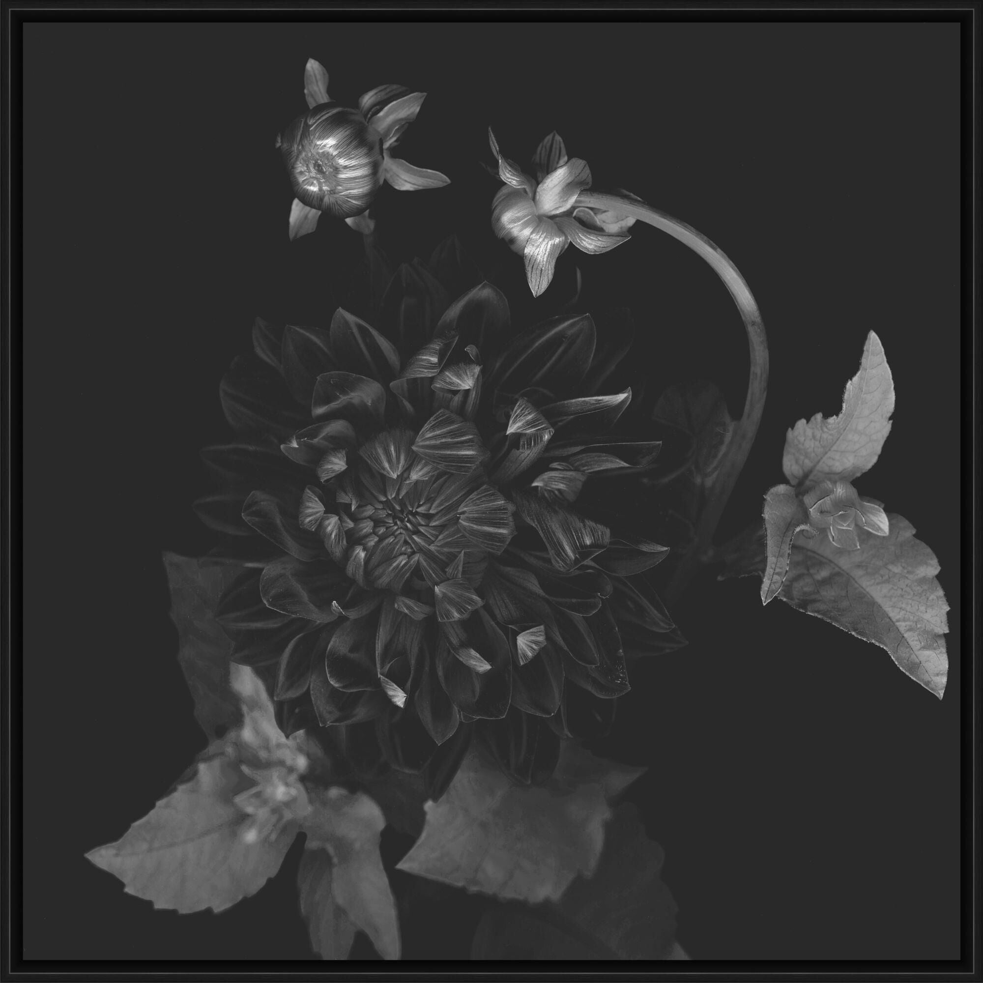 Shown in Black finish