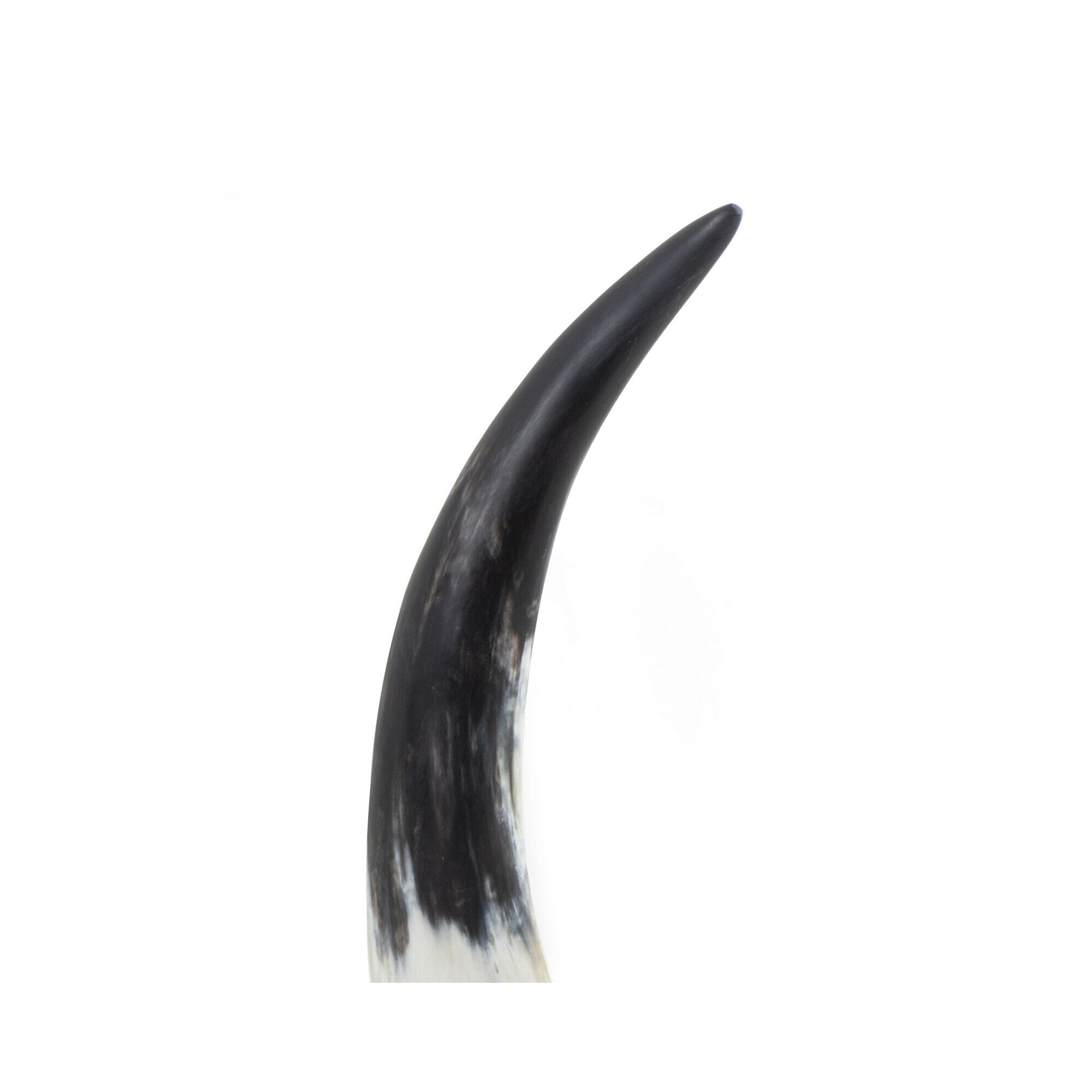 Shown in Natural finish and - None - shade