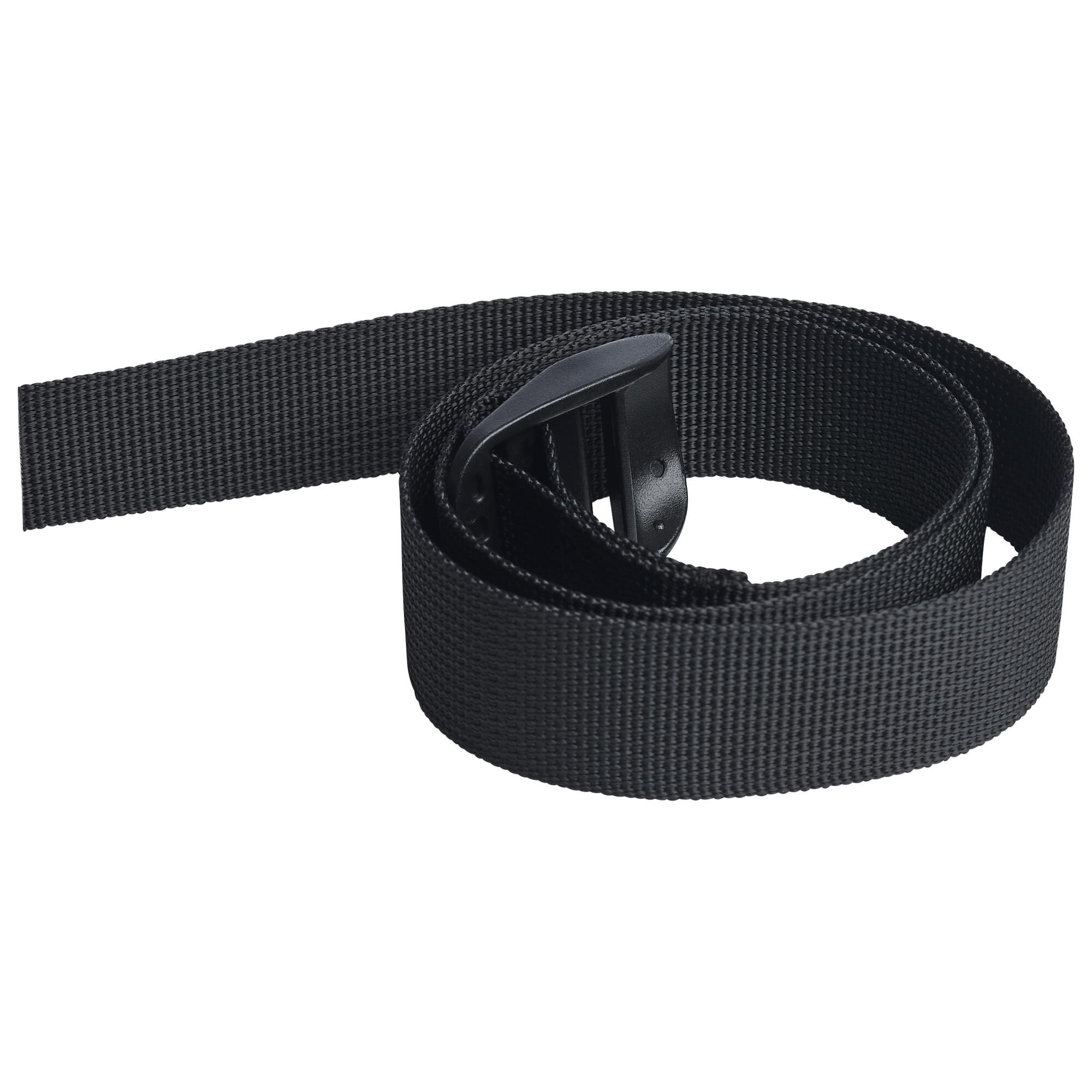 Starfish  Landscape Specialty Light by Nuvo Lighting