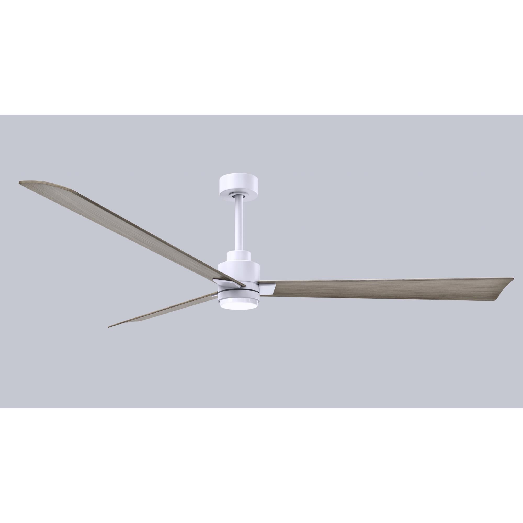 Alessandra 72 Inch Ceiling Fan by Matthews Fan Company