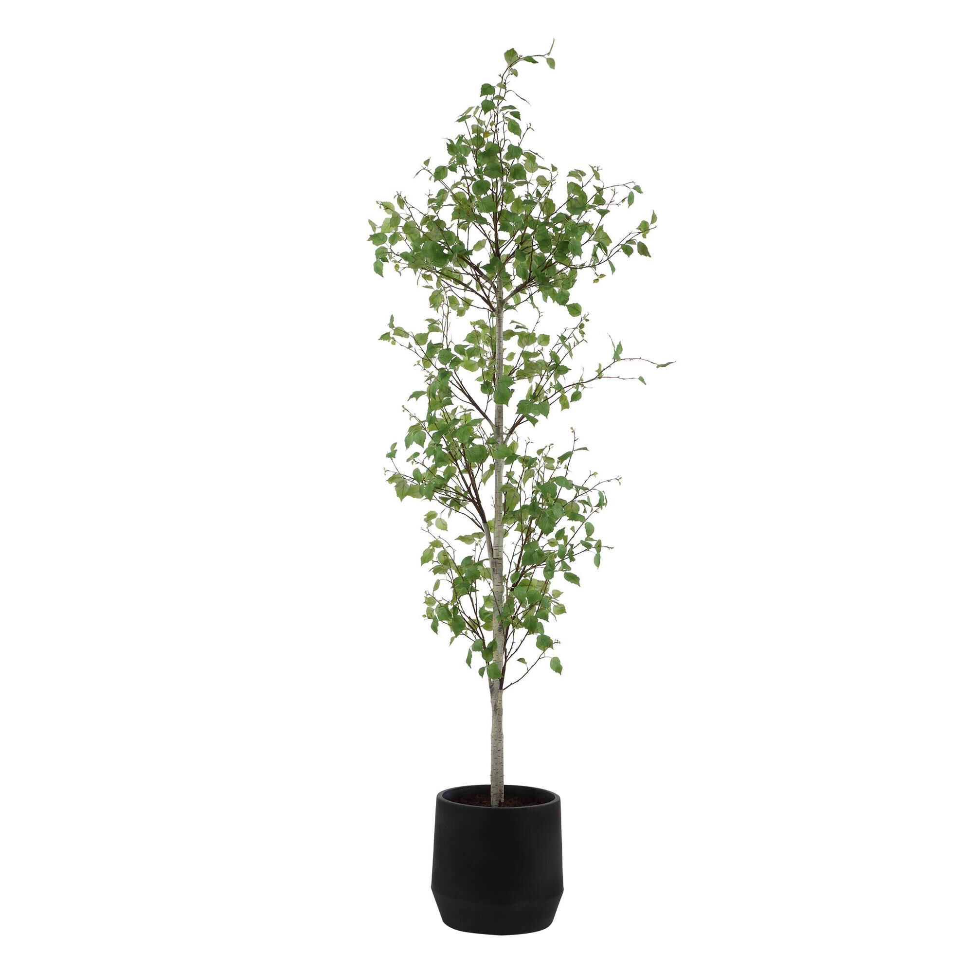 Constance Lael-Linyard Boreal Botanical by Uttermost