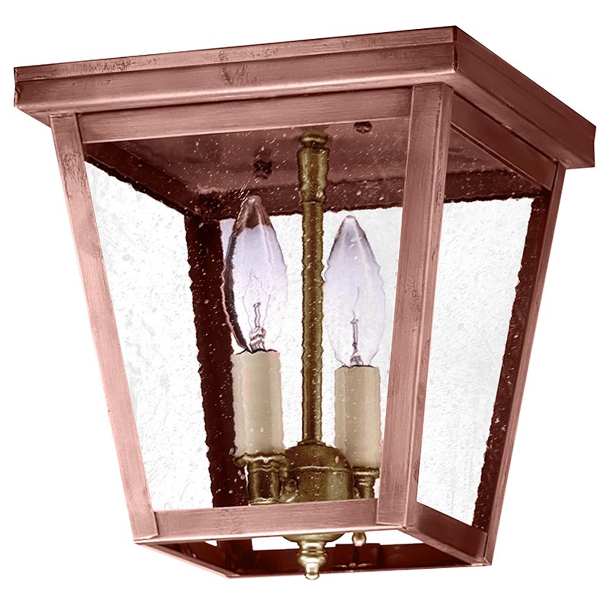 Williams 8 Inch 2 Light Outdoor Flush Mount,
