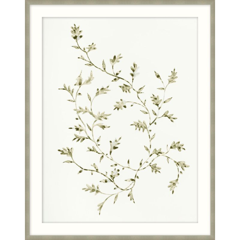 Leafy Vines Print by Level57