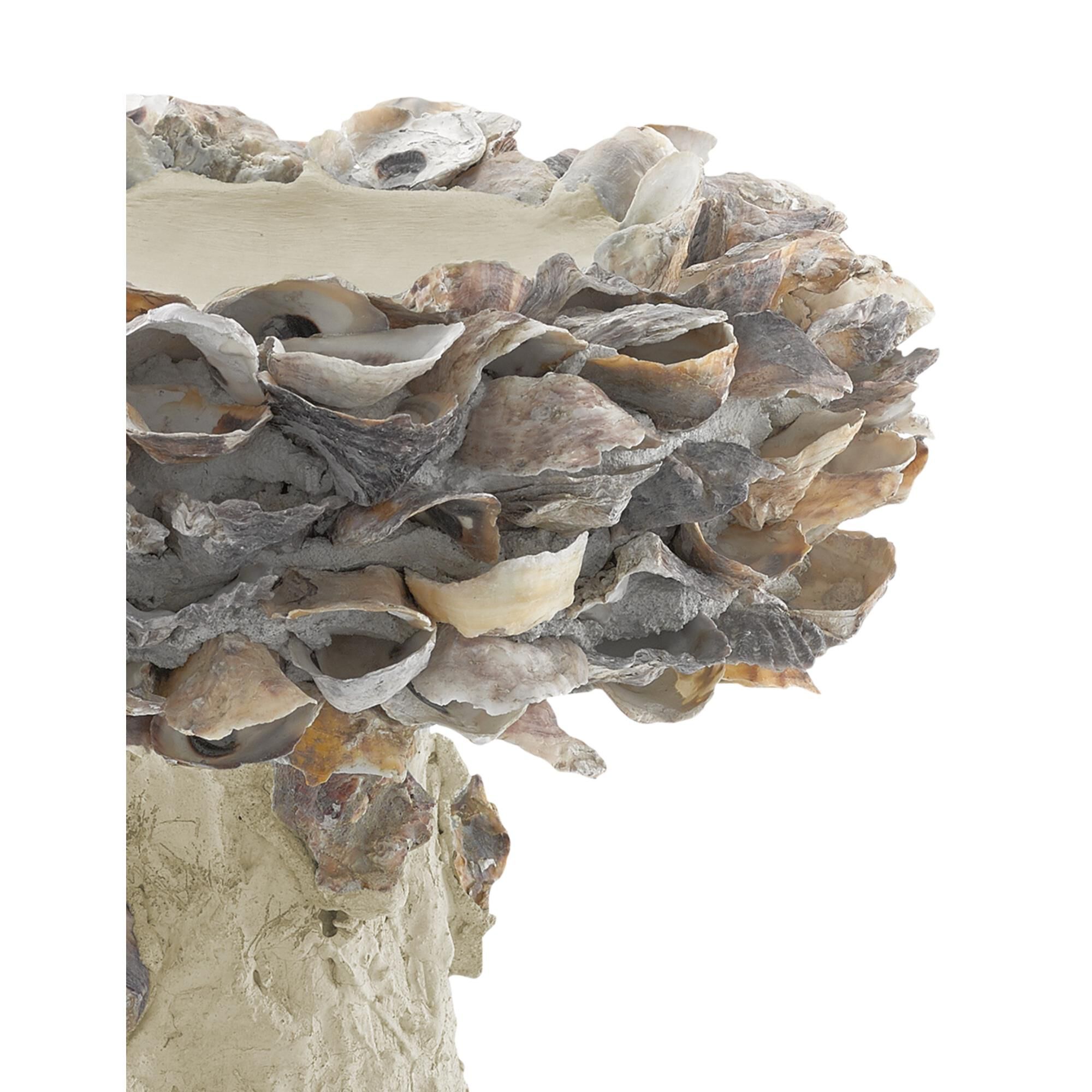 Oyster Shell Small Bird Bath Other Home Accent by Currey and Company