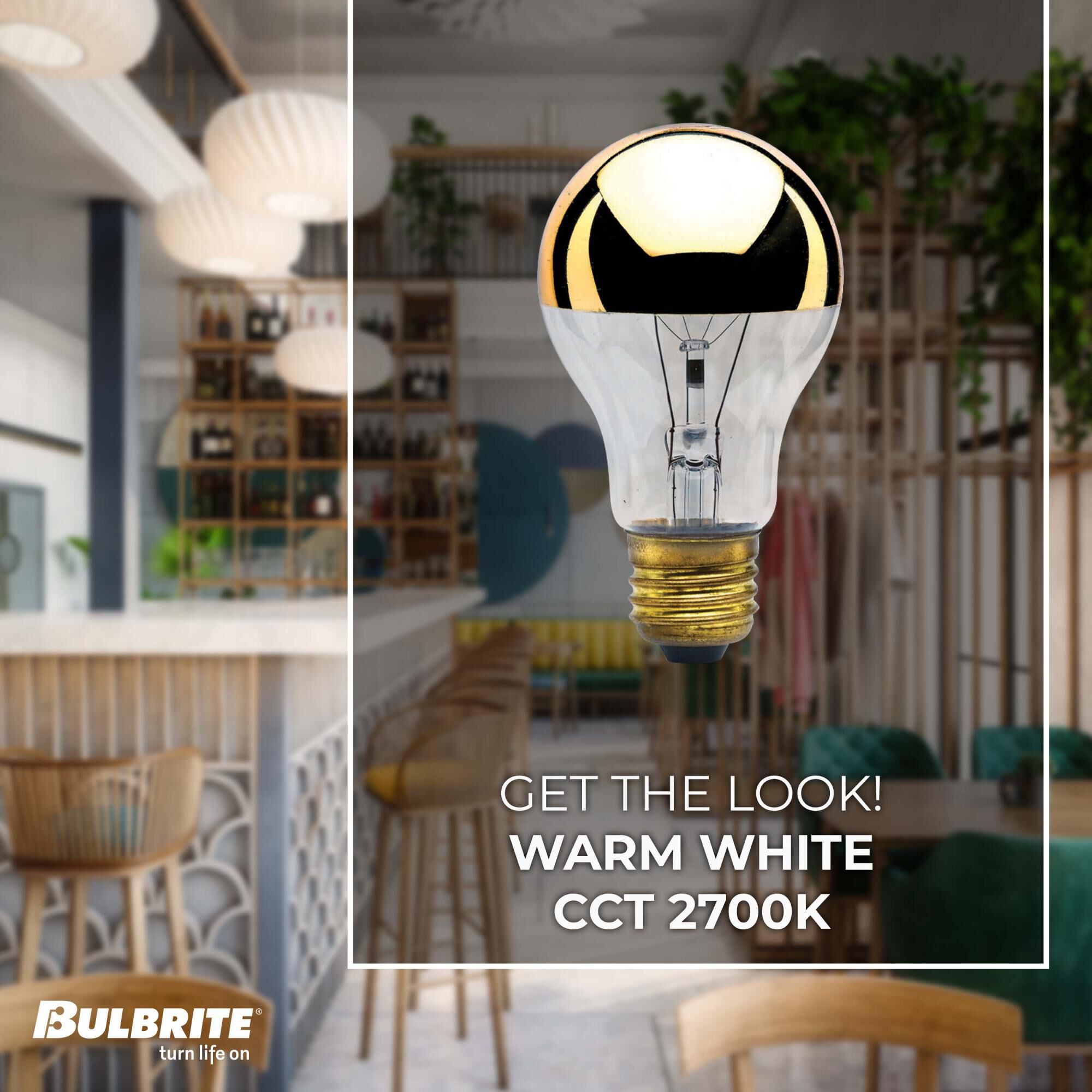 60 Watt 2700K A19 Incandescent Light Bulb,