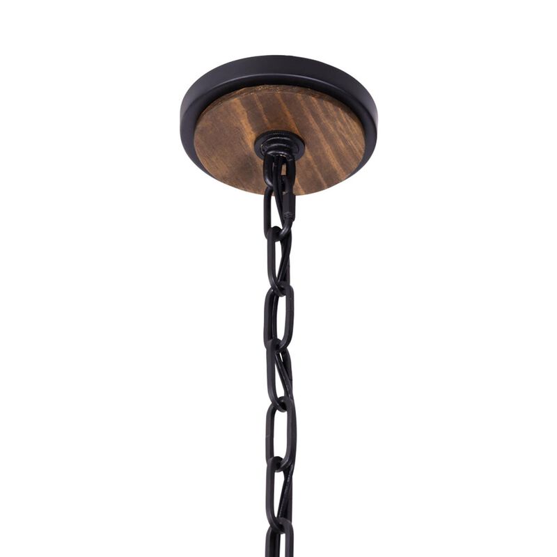 Ron Henderson Suratto Cage Pendant by Varaluz