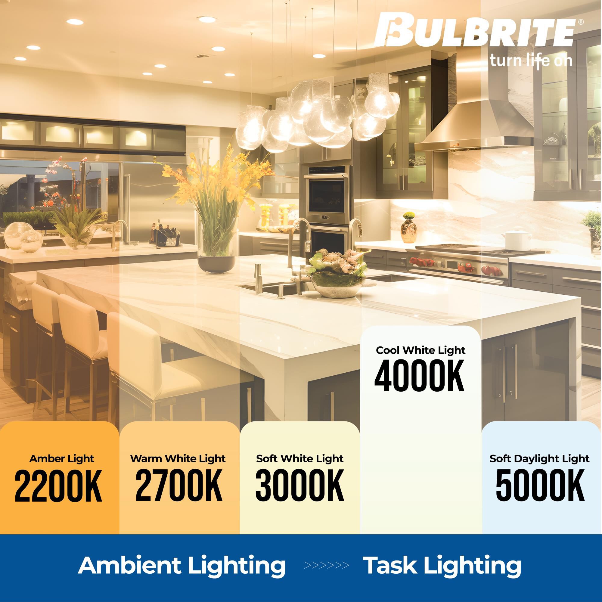 Clear G25 Base E26 4000K LED Light Bulb,