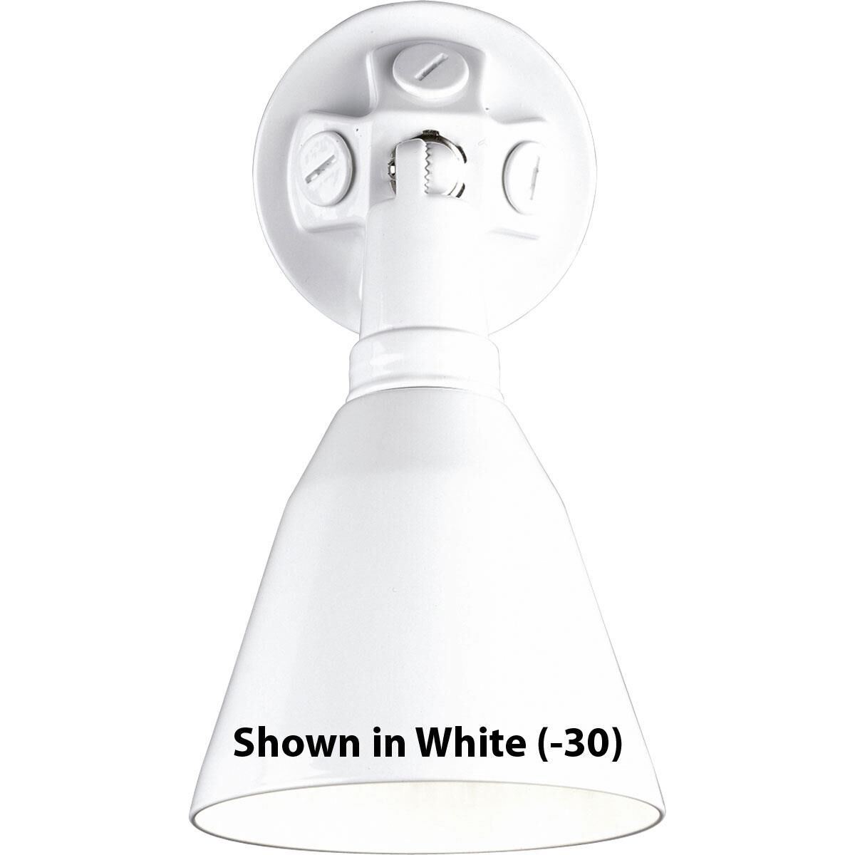 150 Watt Outdoor Flood Light by Progress Lighting