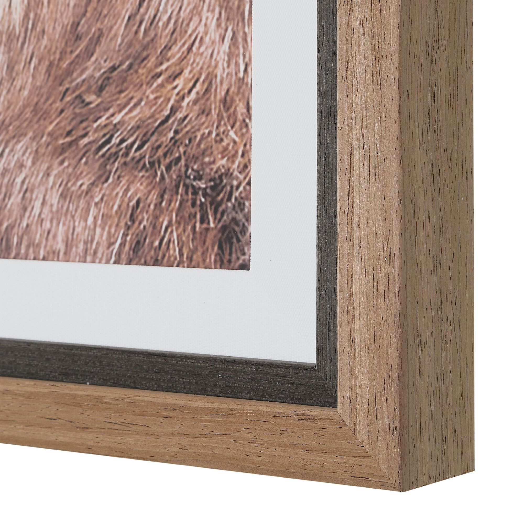 Big Horn Print,