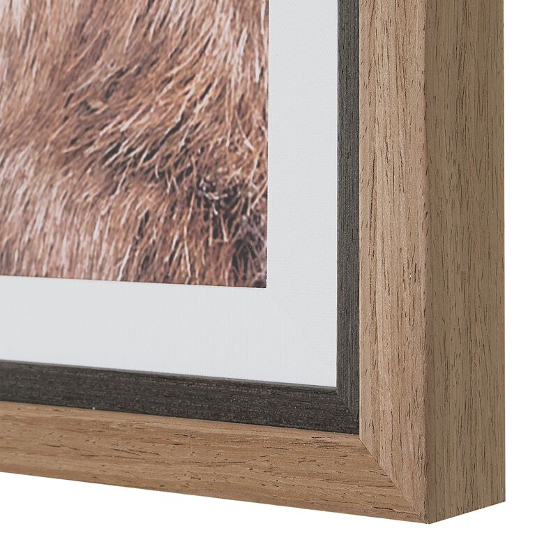 Big Horn Print by Uttermost