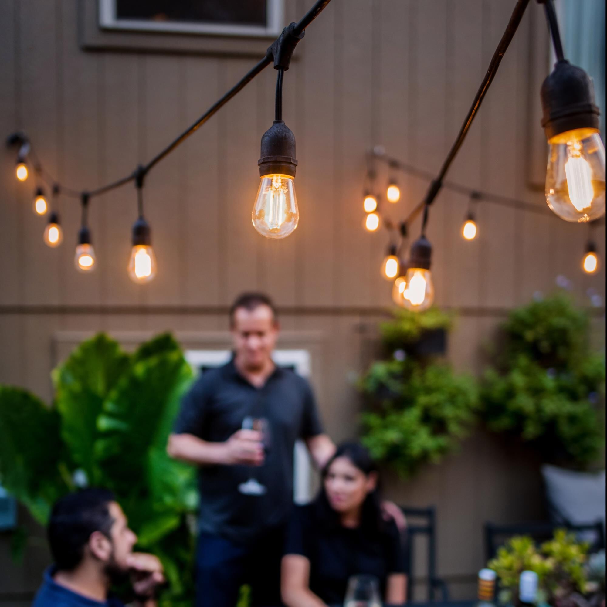 Dimmable 2.50 Watt 2700K S14 LED Light Bulb by Bulbrite