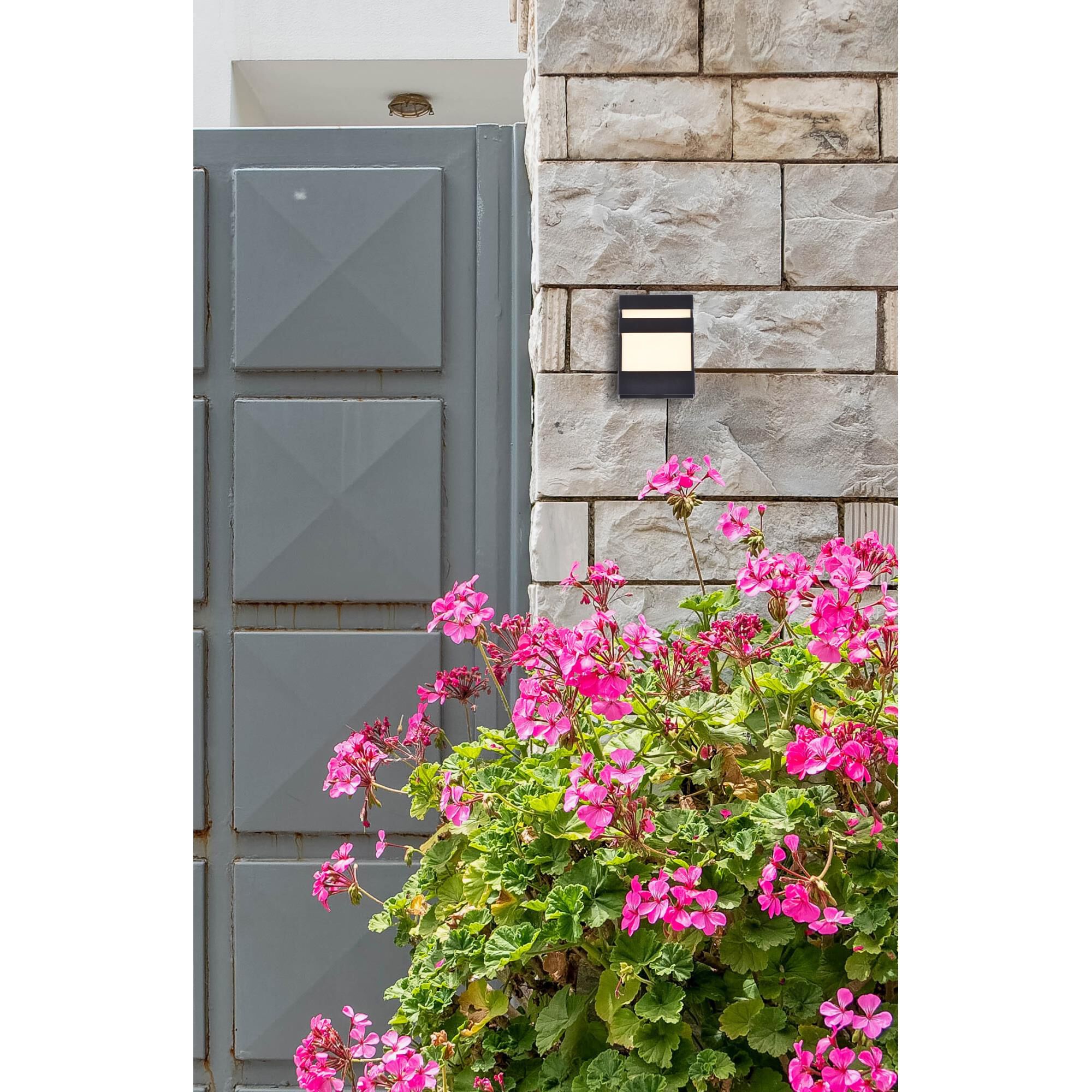 Elegant Lighting Raine 8 Inch Tall LED Outdoor Wall Light