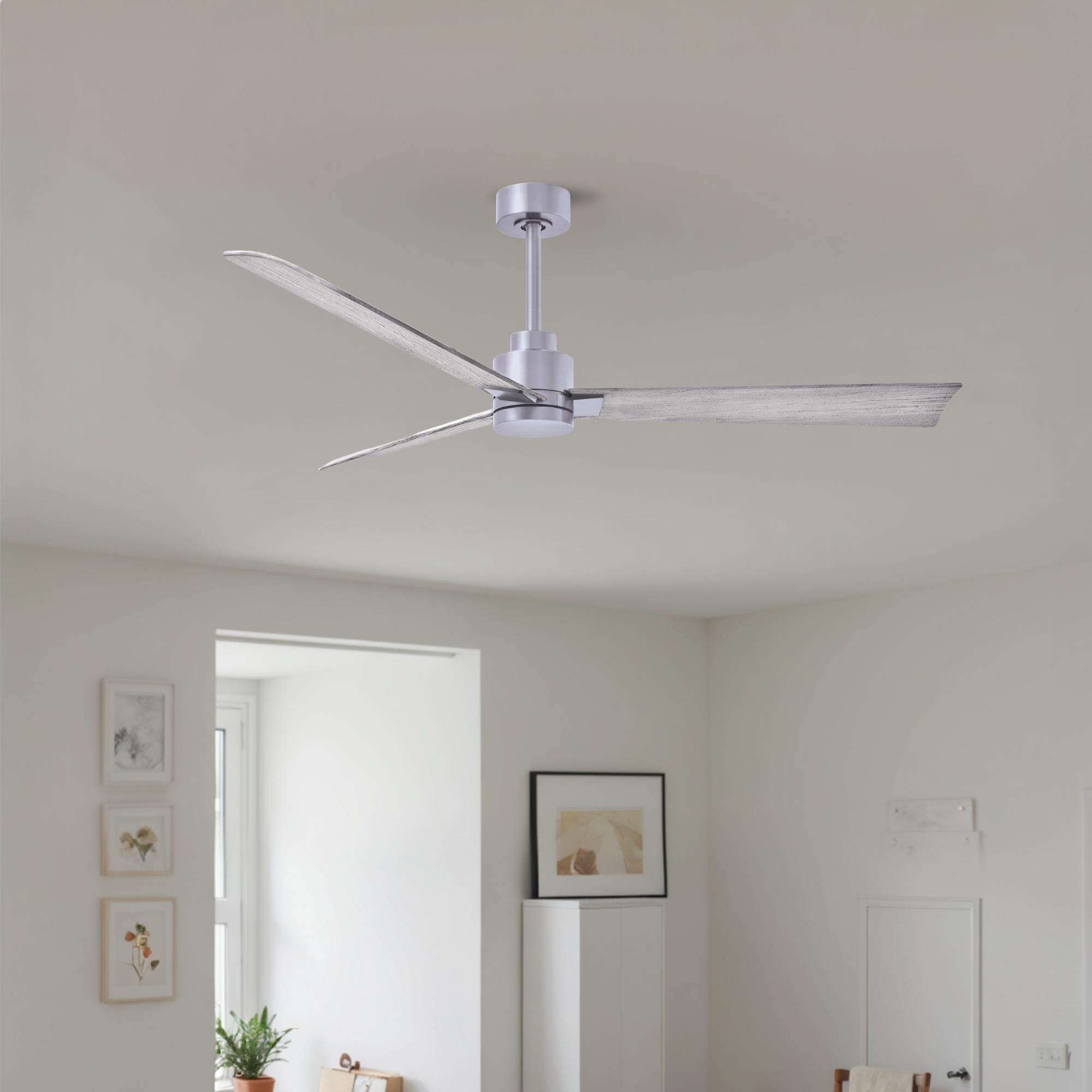 Alessandra 56 Inch Ceiling Fan by Matthews Fan Company