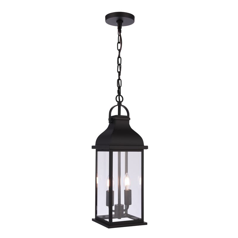 Bent Tree Medium Outdoor Hanging Lantern by Craftmade