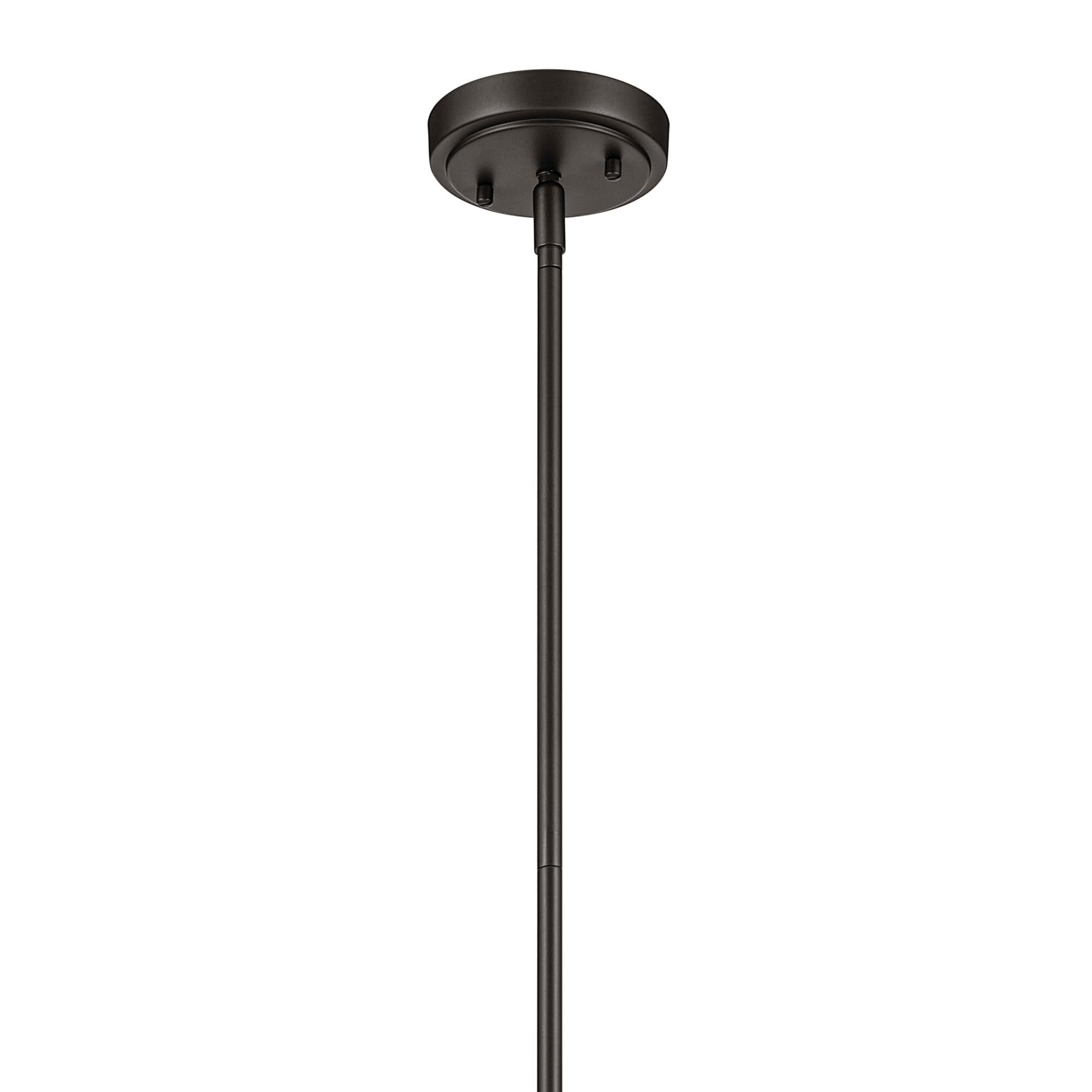 Everly 14 Inch Large Pendant,