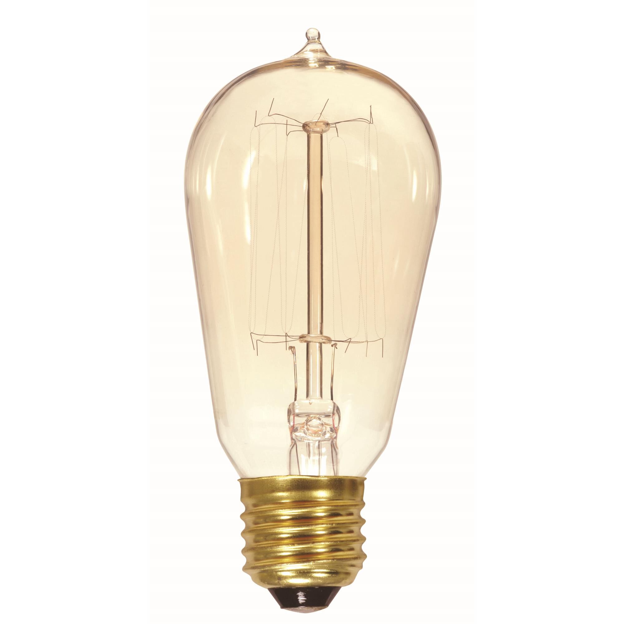 40 Watt Vintage Light Bulb,