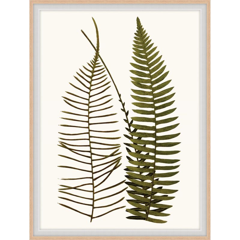 Studio L57 Nouvelle Elevated Undergrowth Print by LEVEL57