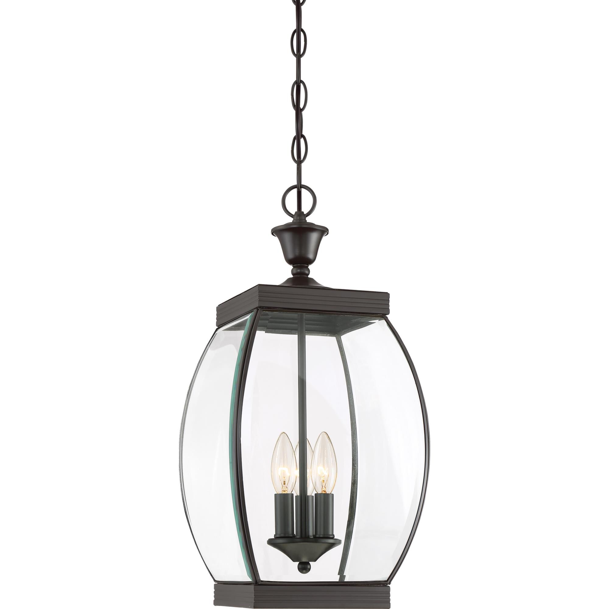 Oasis 9 Inch Cage Pendant by Quoizel