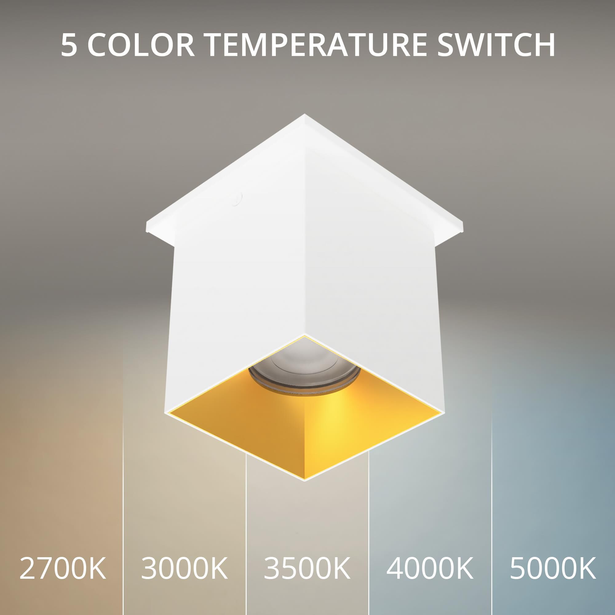 Zoron 5 Inch Outdoor Flush Mount by WAC Lighting