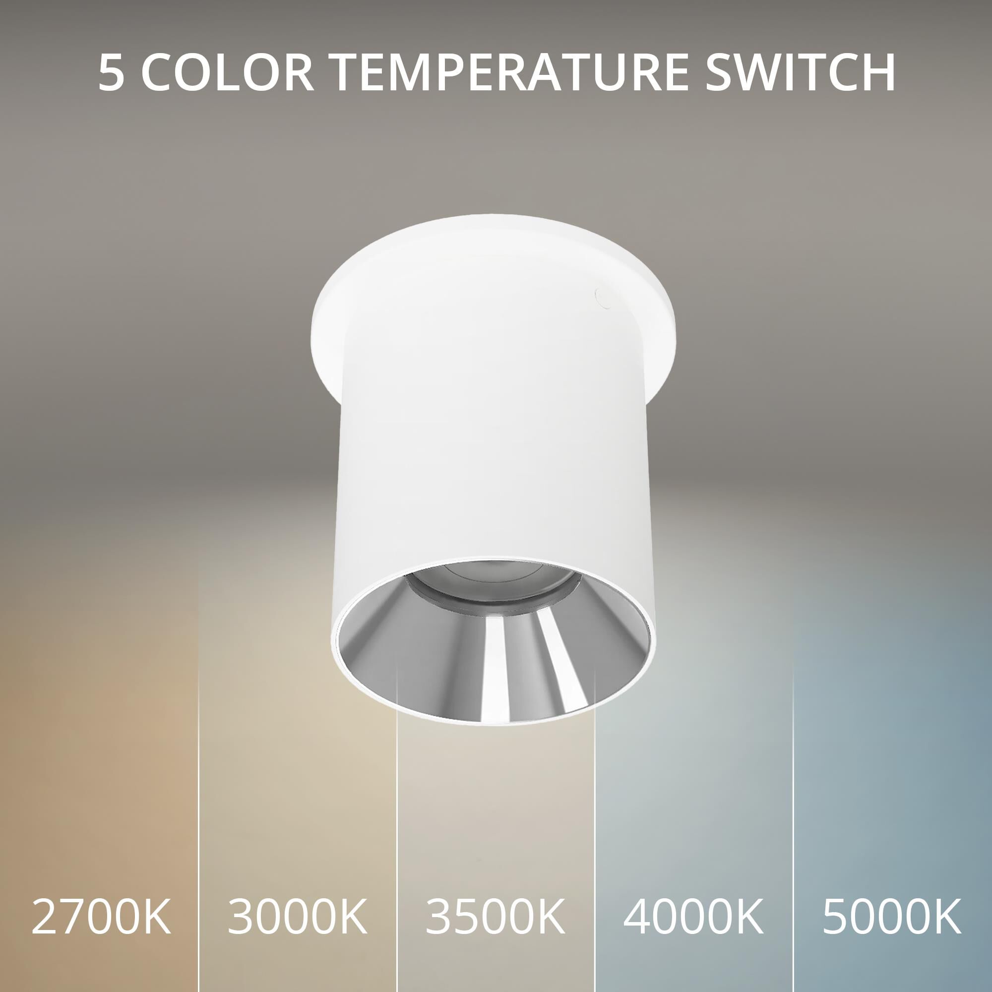 Zoron 5 Inch Outdoor Flush Mount by WAC Lighting