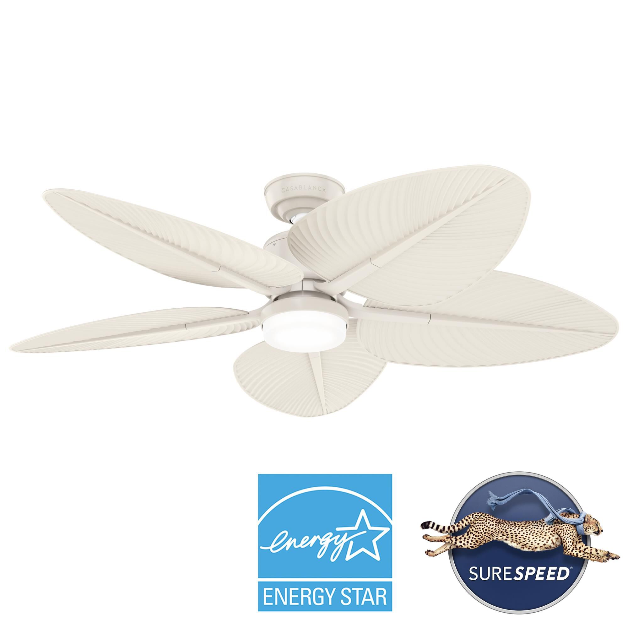 Coveview 52 Inch Ceiling Fan with Light Kit by Casablanca Fan Company