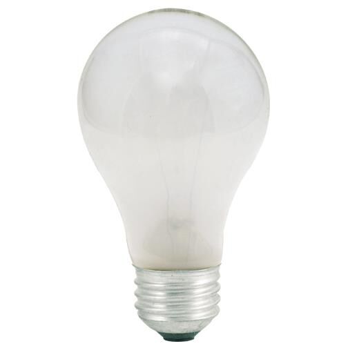 25 Watt A19 Incandescent Light Bulb,