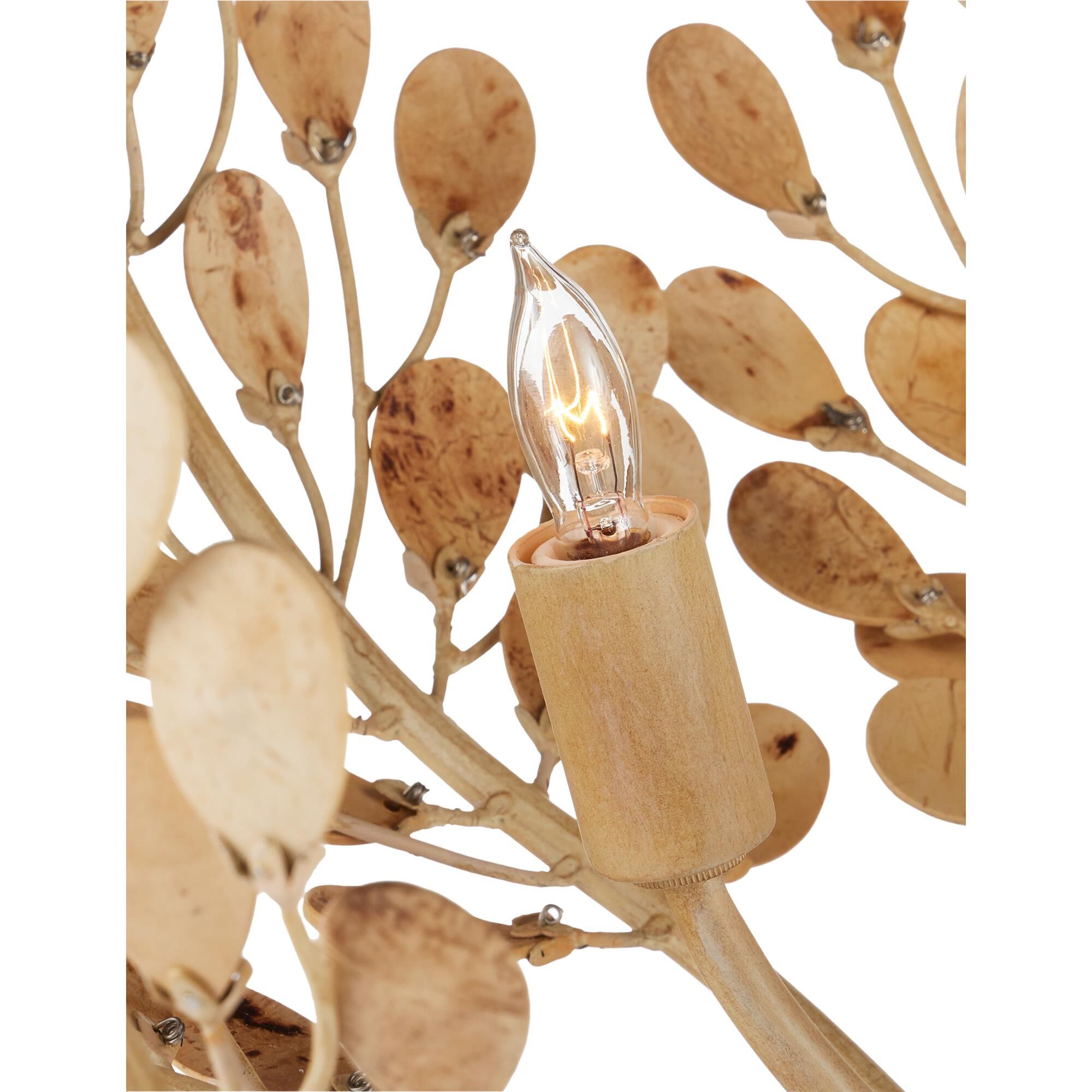 Maypan 24 Inch Chandelier by Currey and Company