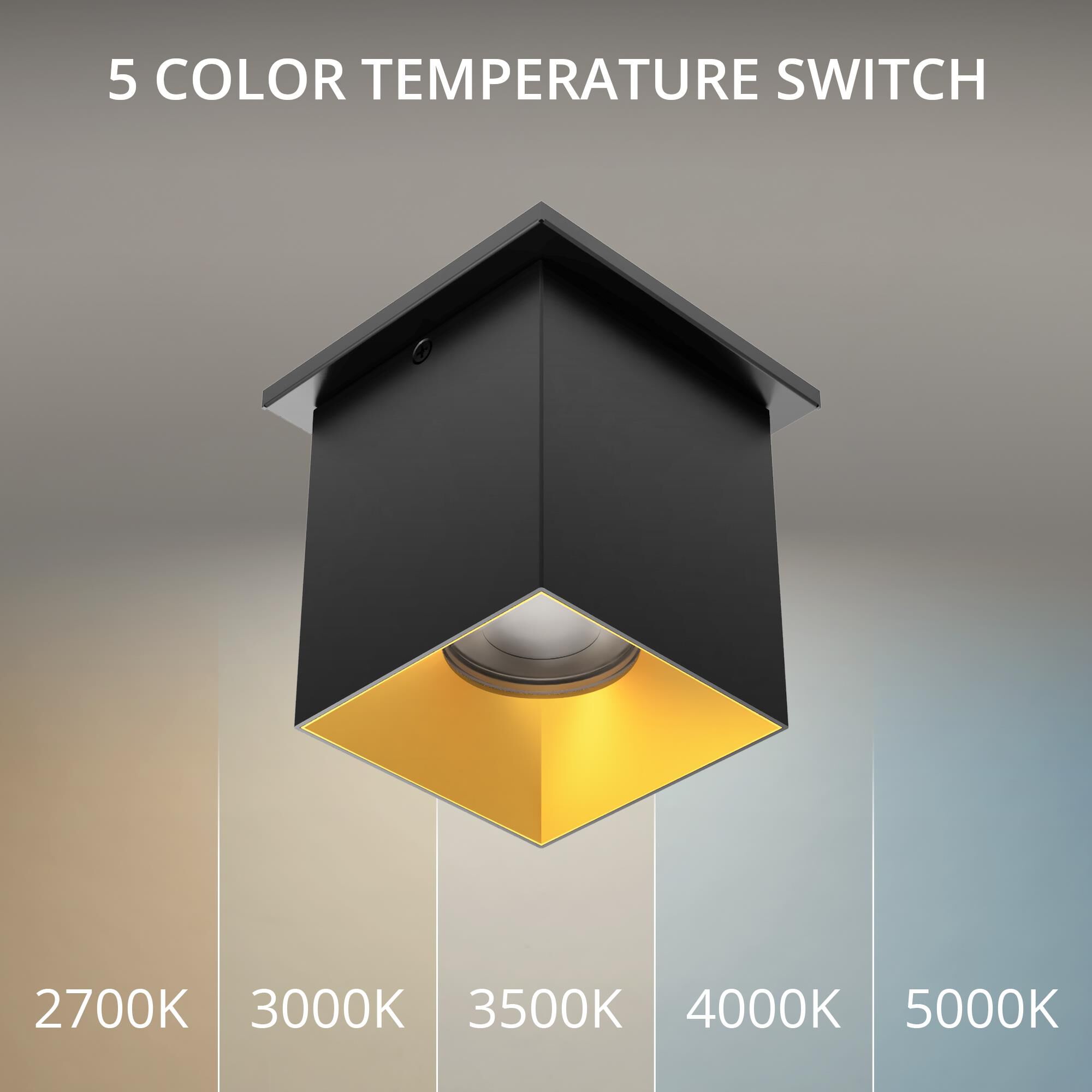 Shown in Black and Gold finish