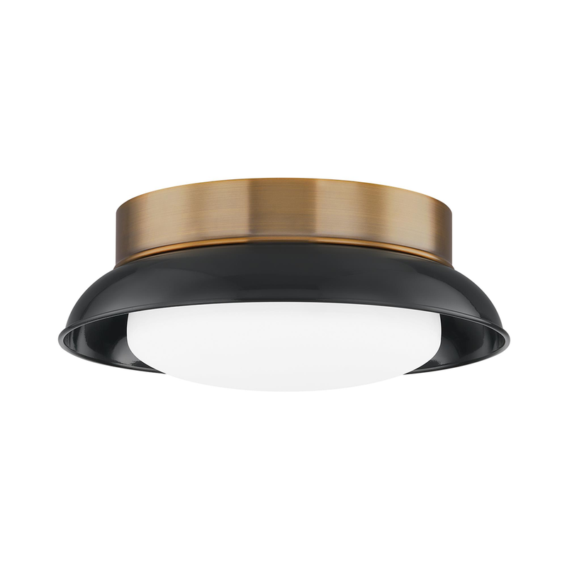 Arnie 14 Inch 2 Light Flush Mount by Troy Lighting
