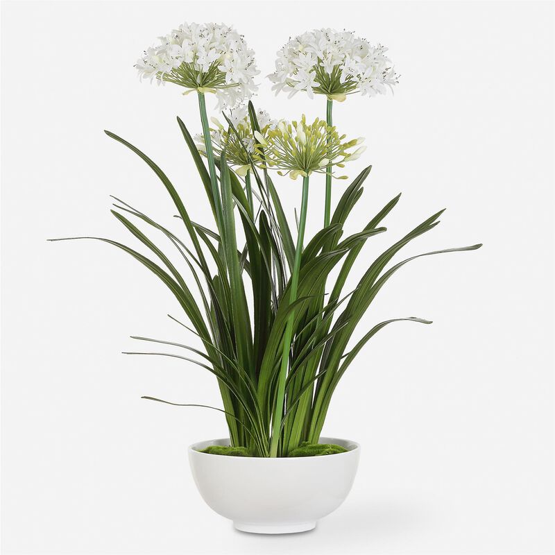 Purity Agapanthus 30 Inch Botanical by Uttermost