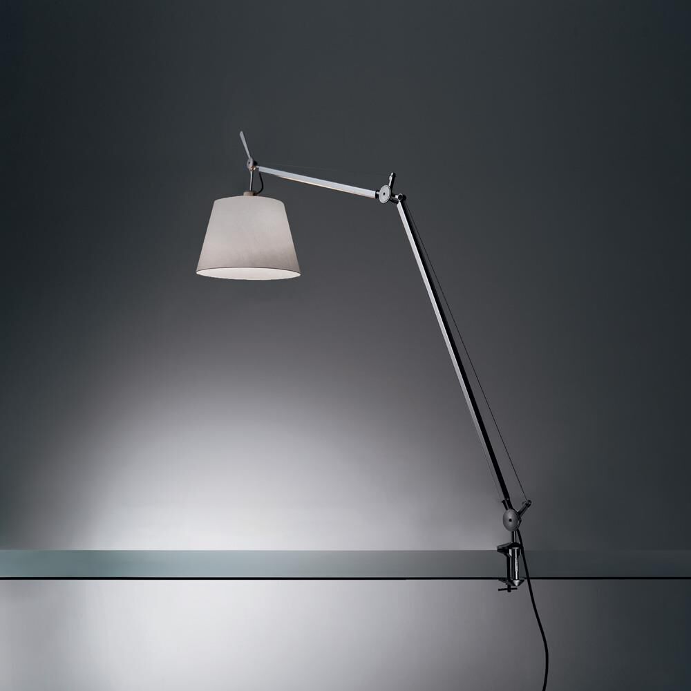 Michele De Lucchi, Giancarlo Fassina Tolomeo 29 Inch Desk Lamp by Artemide