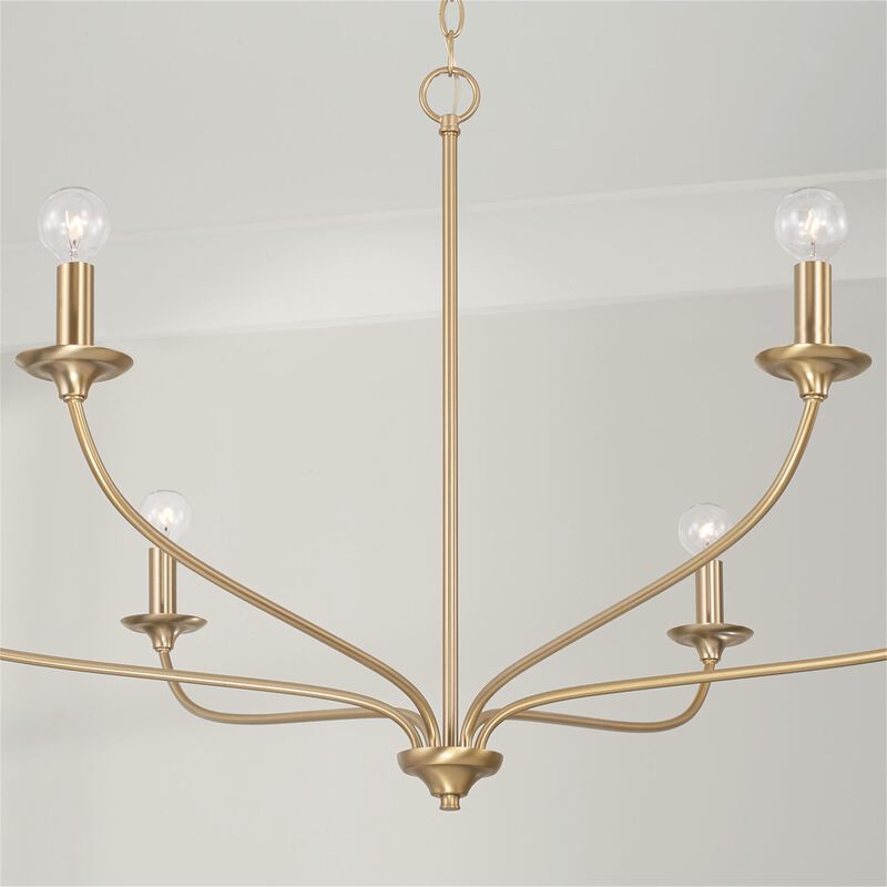 Dolan 39 Inch 6 Light Chandelier by Capital Lighting Fixture Company