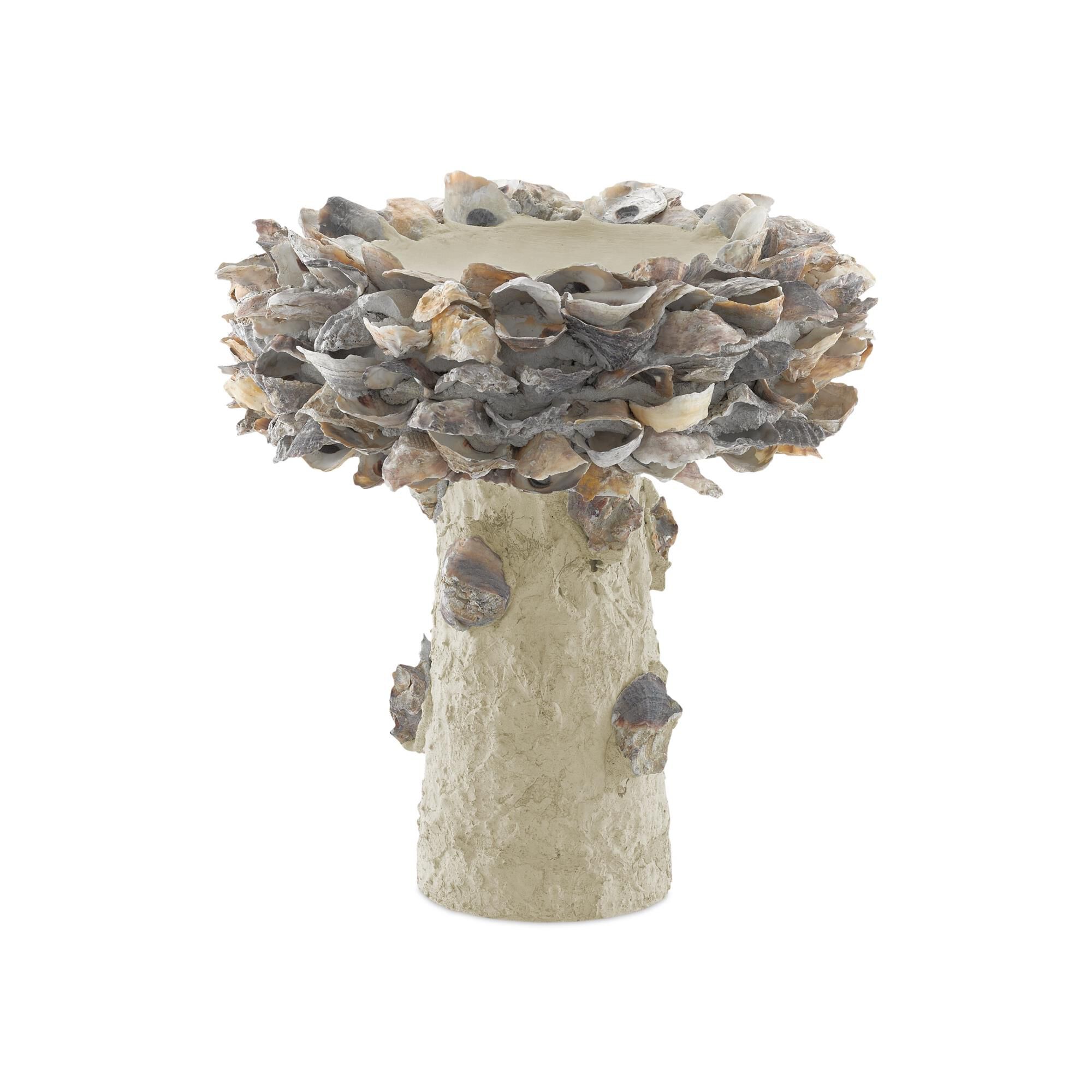 Oyster Shell Small Bird Bath Other Home Accent by Currey and Company