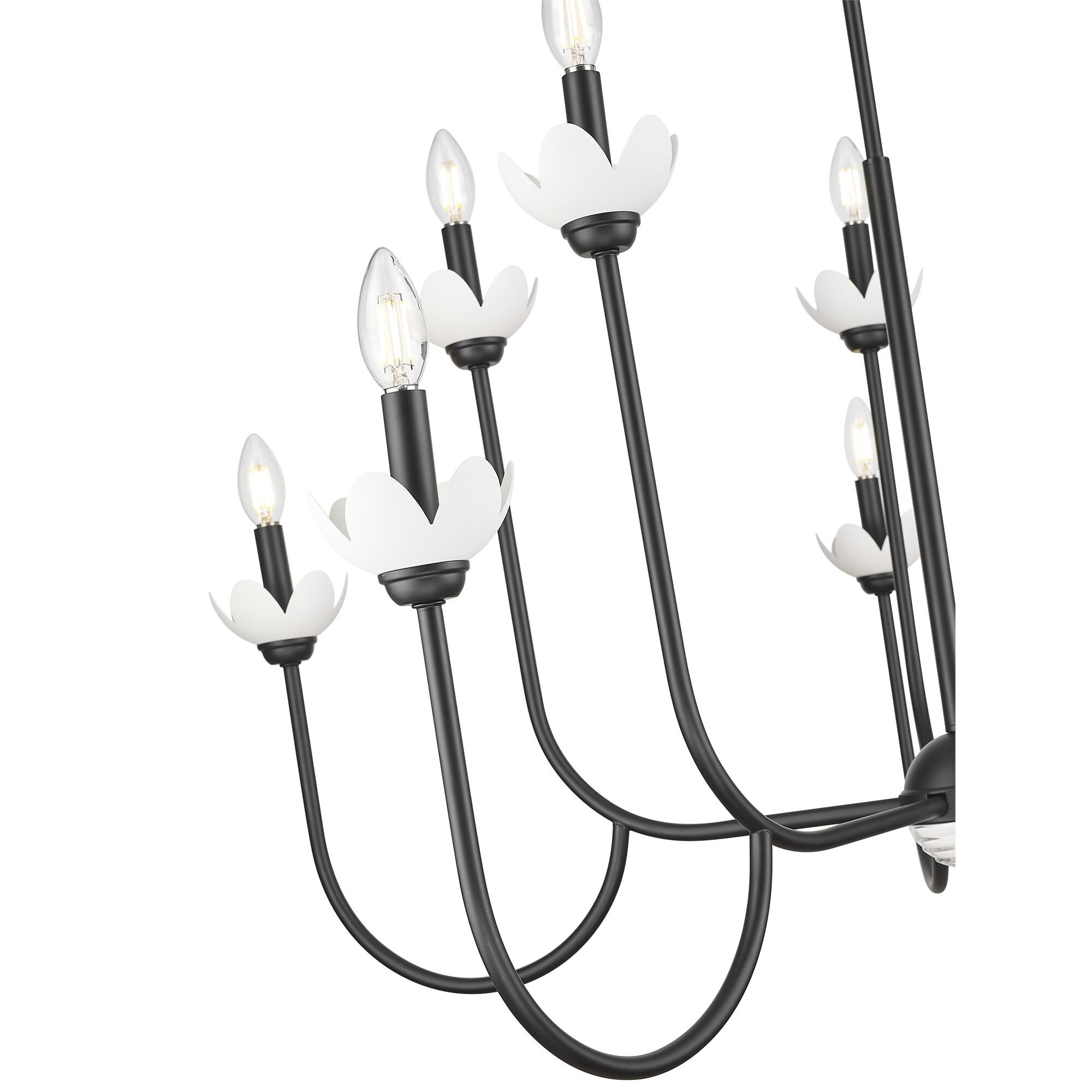Allistair 42 Inch Chandelier by Z Lite