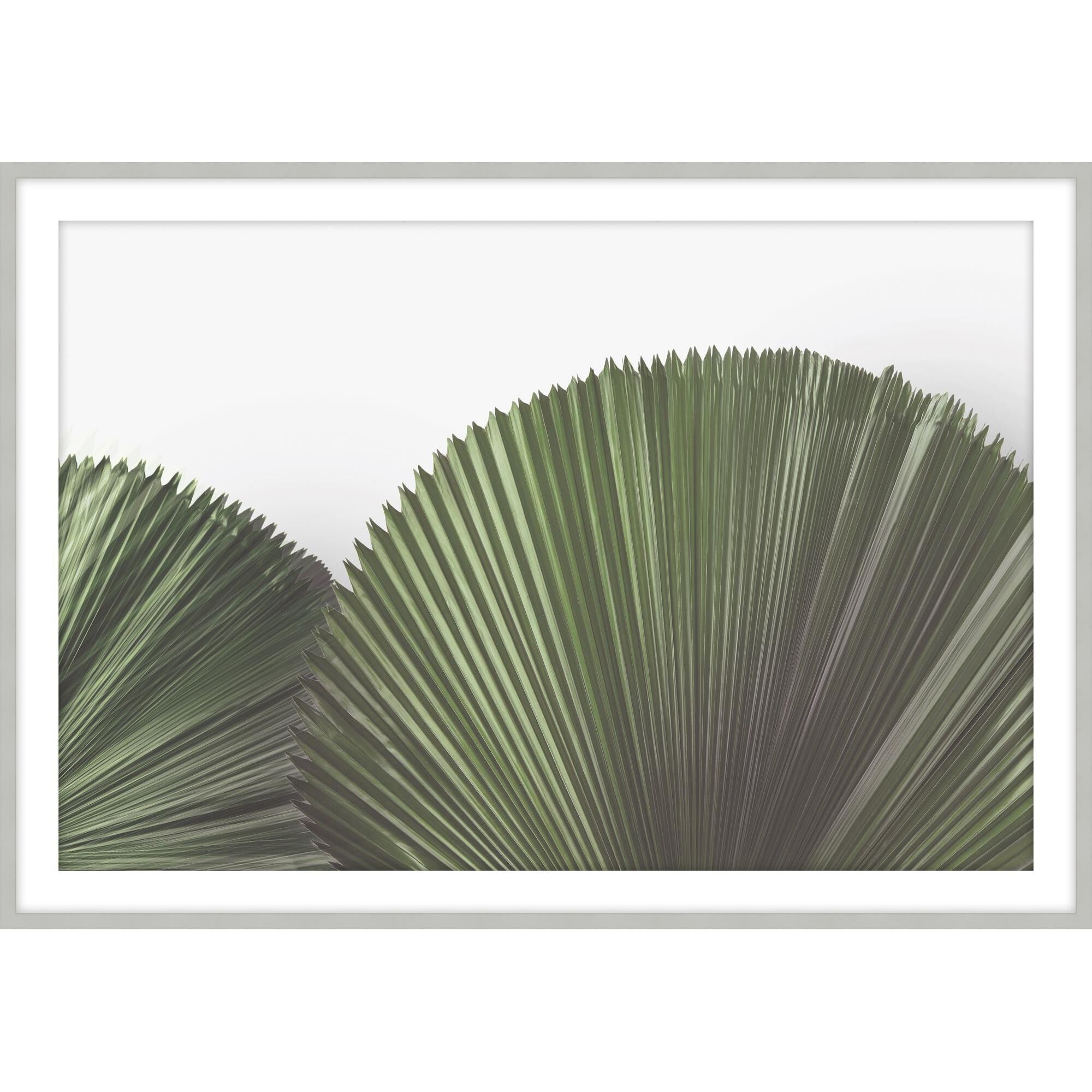 Tropical Leaves Print by Level57