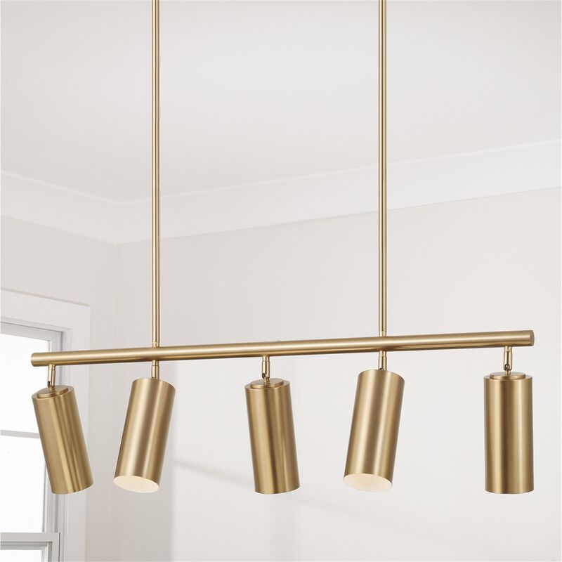 Robbie 40 Inch Linear Suspension Light by Capital Lighting