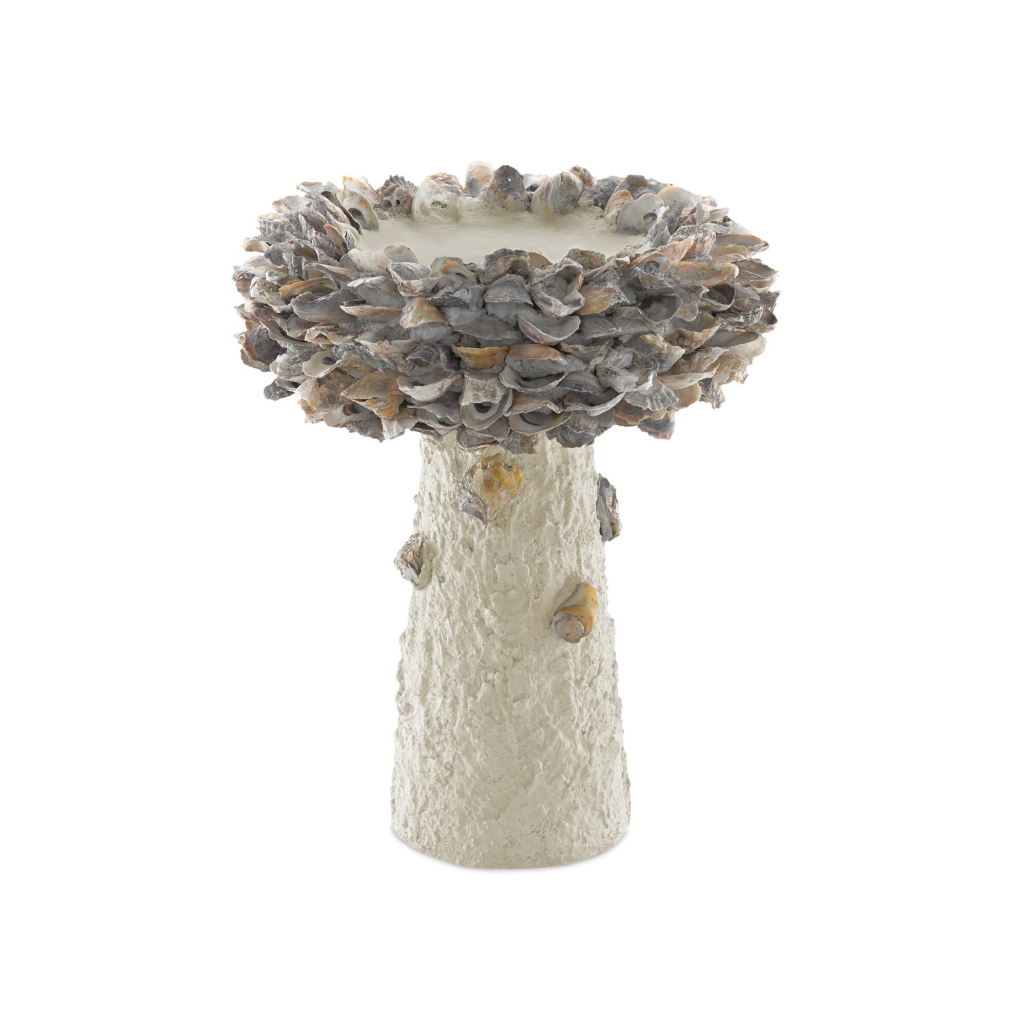 Oyster Shell Medium Bird Bath Other Home Accent,