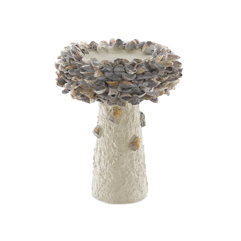 Oyster Shell Medium Bird Bath Other Home Accent by Currey and Company