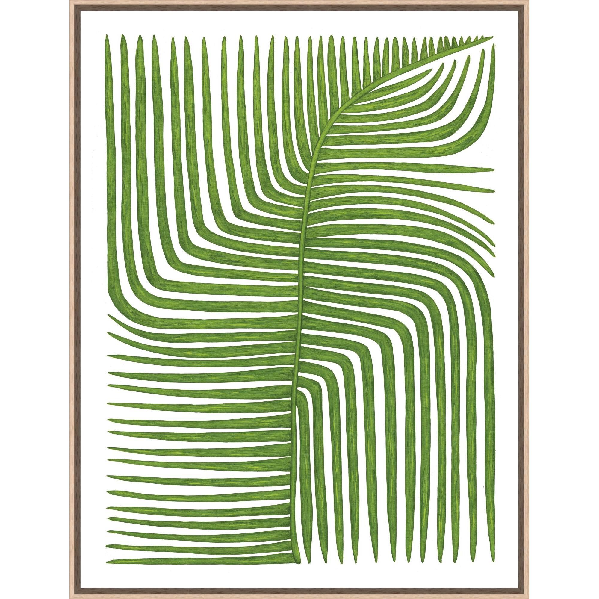 Marianne Hendriks Botanicus Quattuordecim Print by LEVEL57
