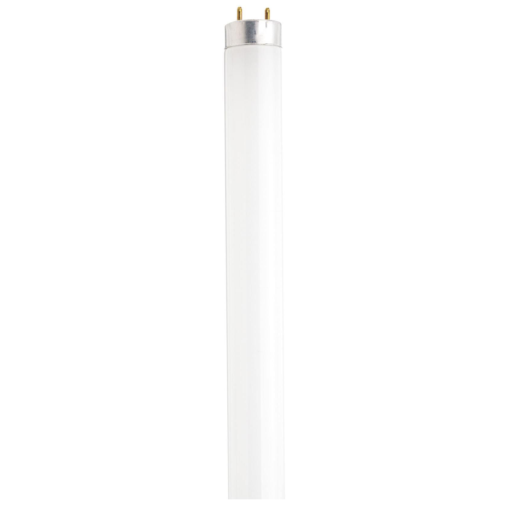 25 Watt 3500K T8 Fluorescent Light Bulb,
