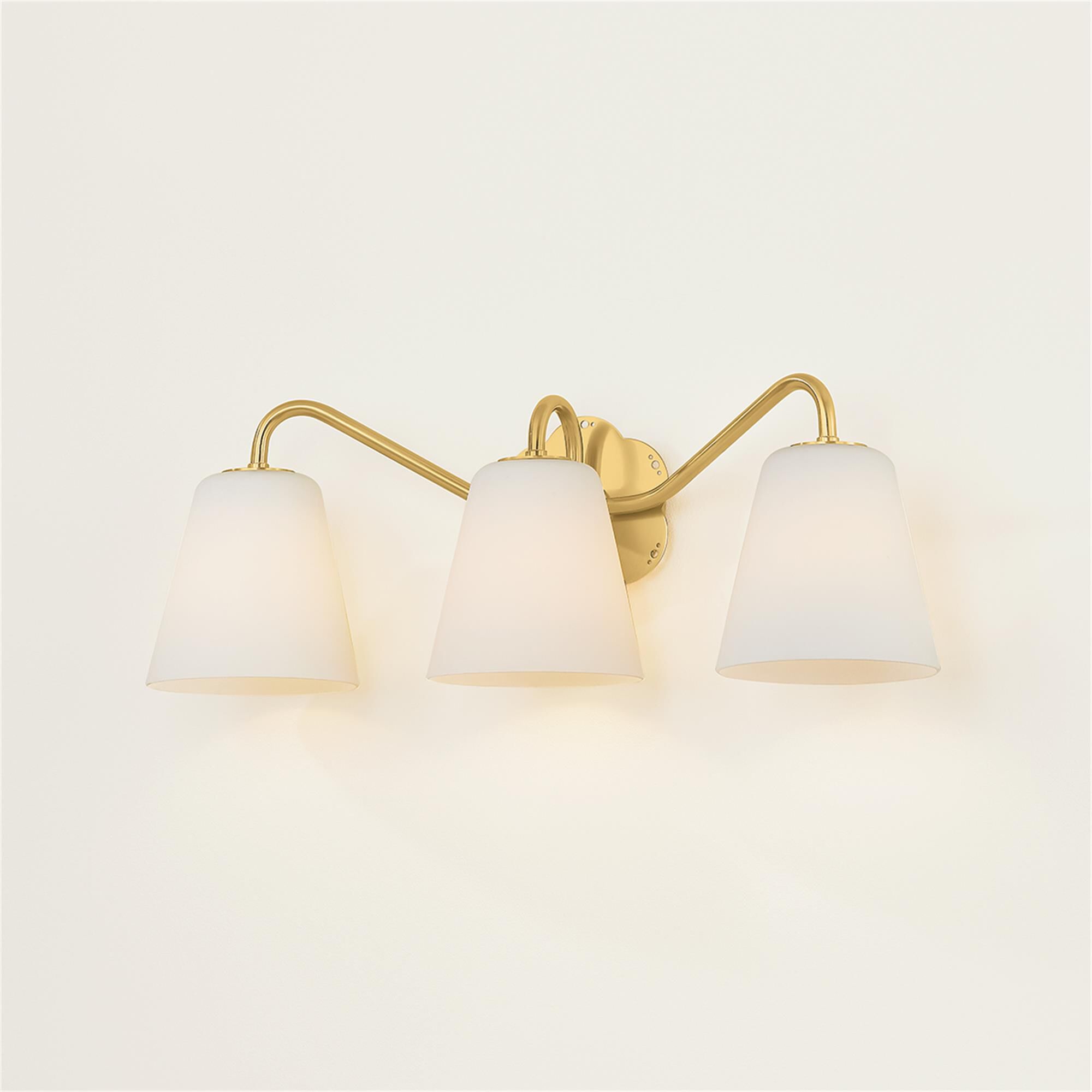Leonella 24 Inch 3 Light Bath Vanity Light,