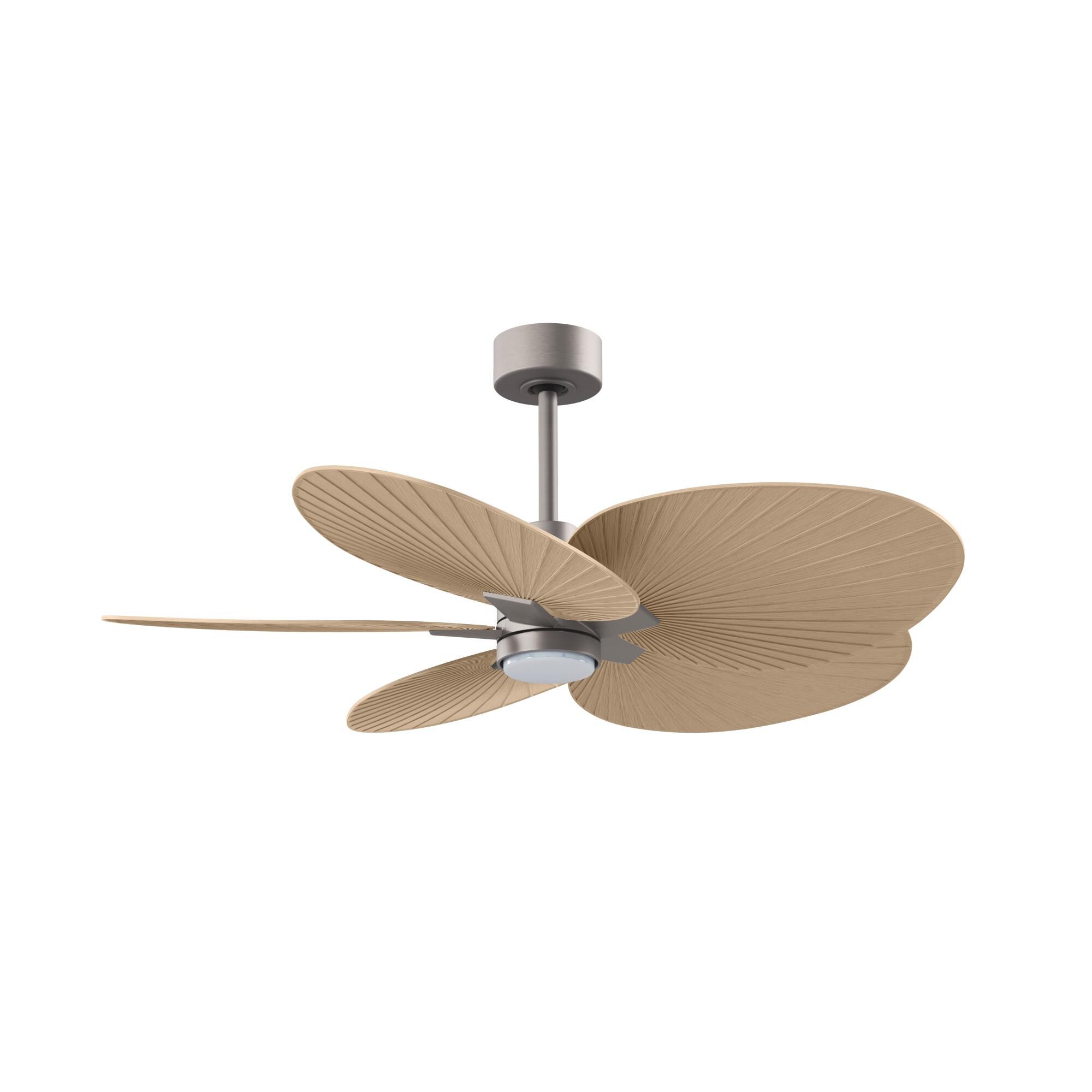 Shown in Brushed Nickel finish