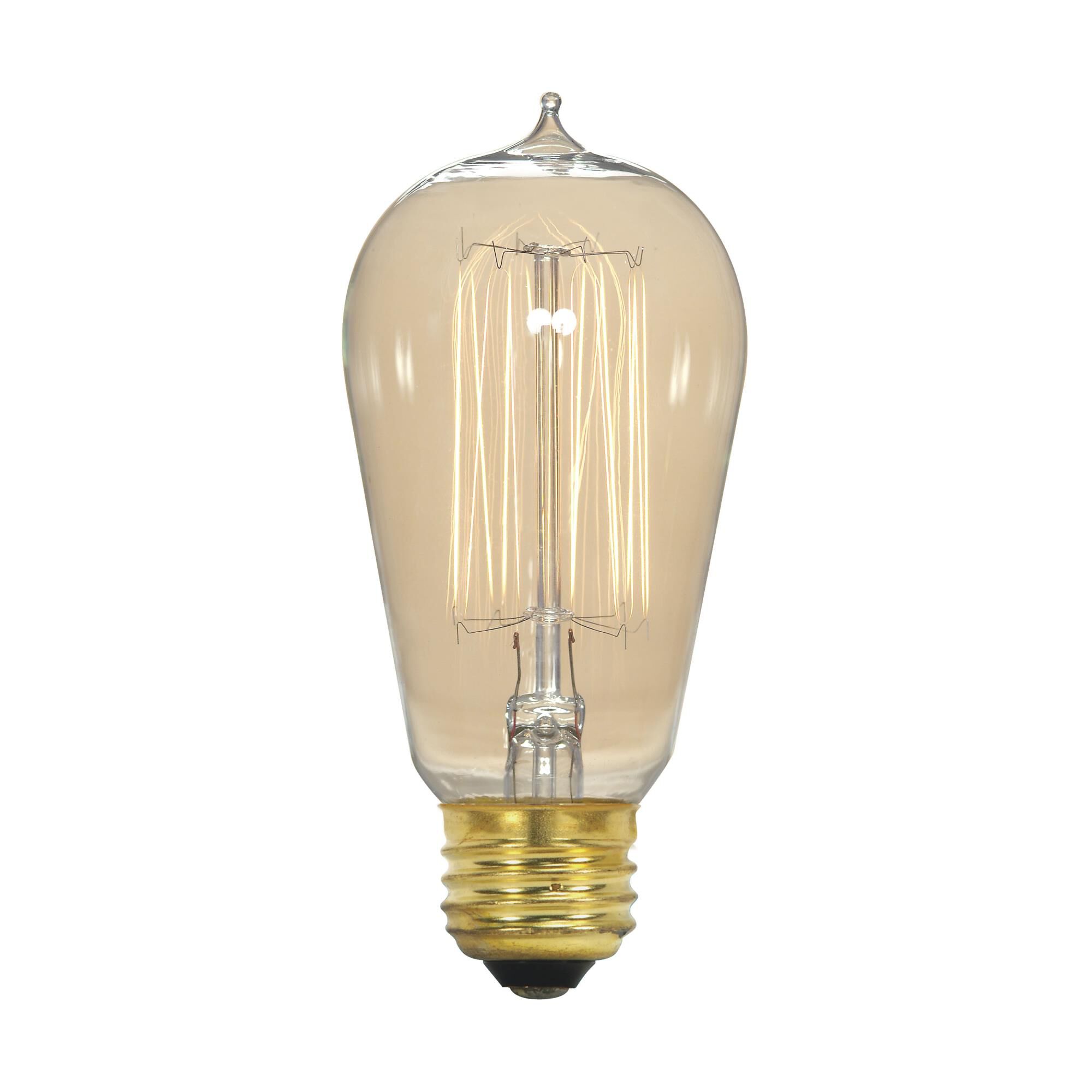 40 Watt Vintage Light Bulb,