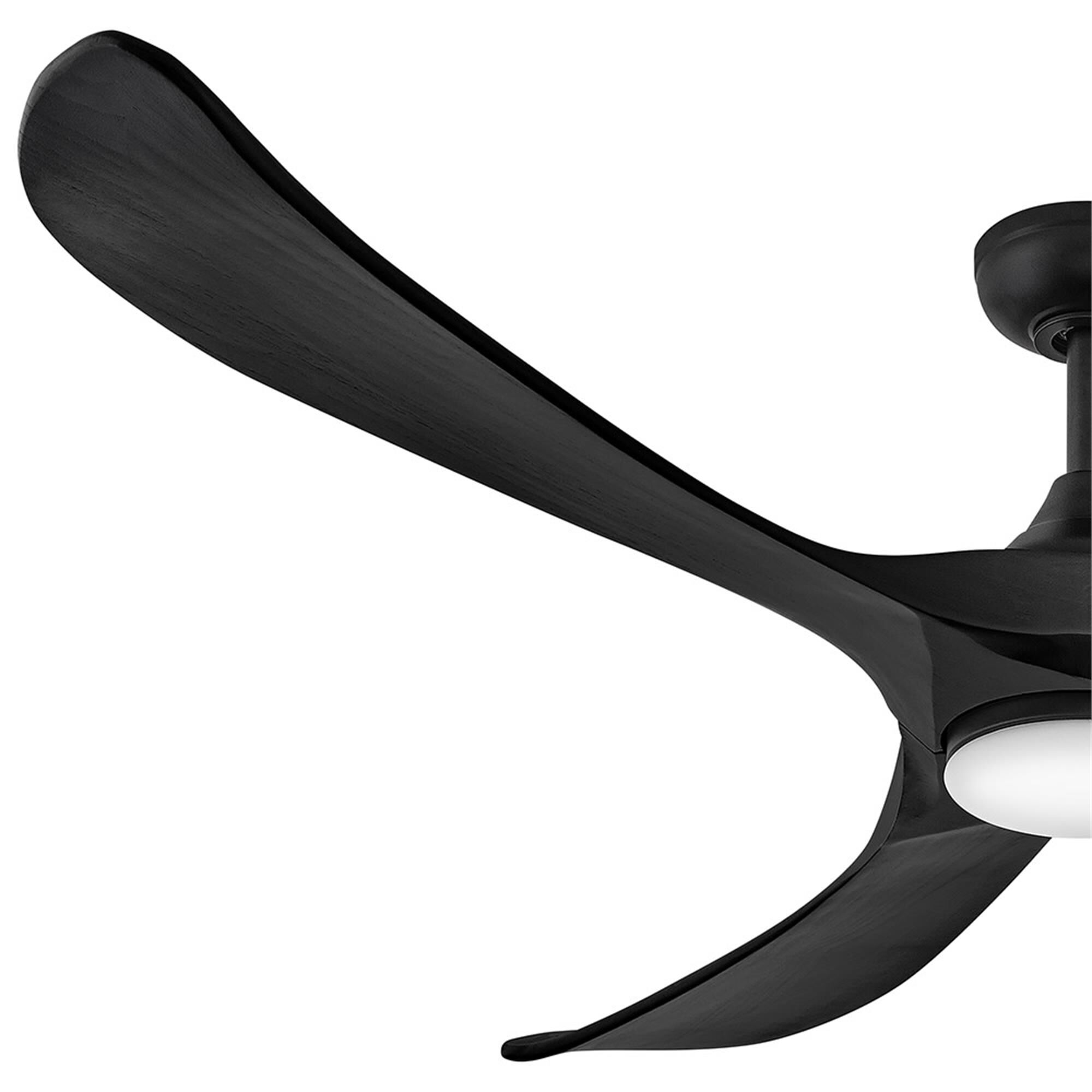 Swell Illuminated 72 Inch Ceiling Fan with Light Kit,