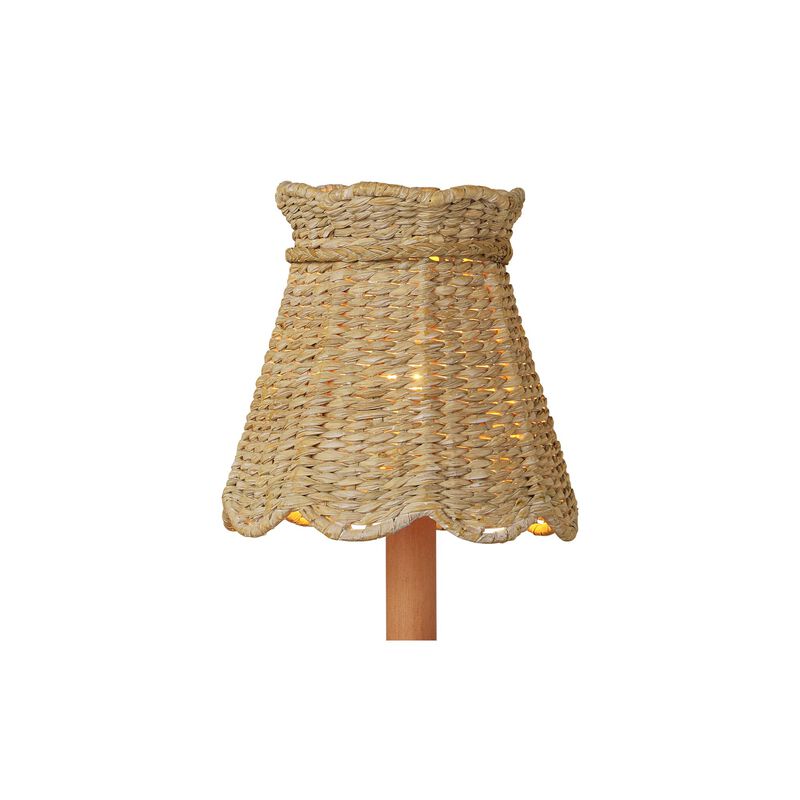 Suzanne Duin Annabelle Accessory Shade by Currey and Company