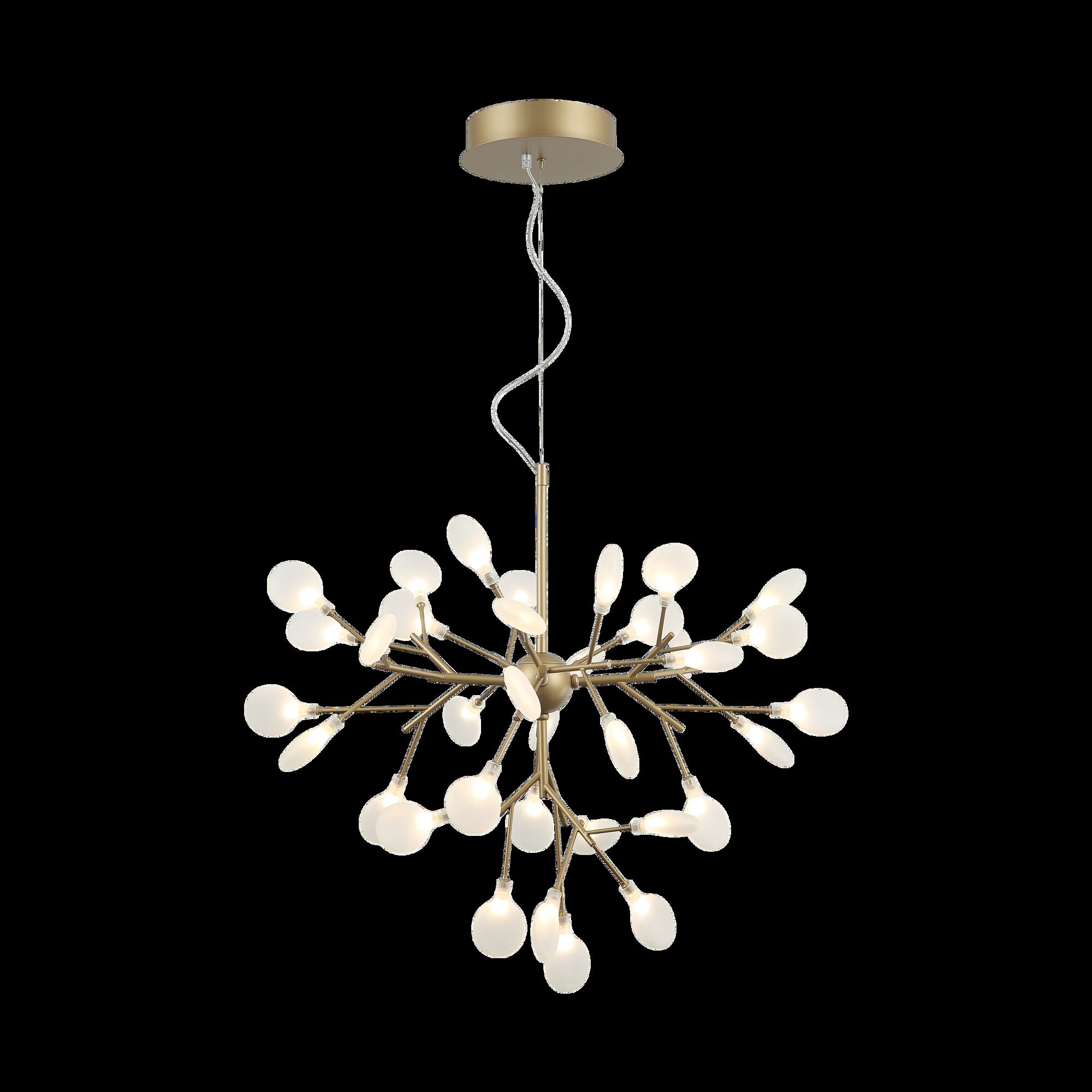 Shown in Gold finish